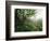 Craggy Gardens, Pisgah National Forest, North Carolina, USA-Adam Jones-Framed Photographic Print