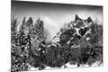Photographic Print
