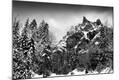 Photographic Print