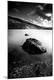 Premium Photographic Print