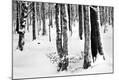 Photographic Print