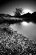 Premium Photographic Print