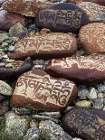 Buddhist Prayers on Carved Mani Stones in Tibet-Craig Lovell-Photographic Print