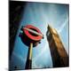 Premium Photographic Print