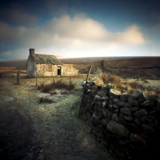 Photographic Print, , large