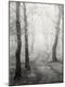 Premium Photographic Print