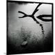 Premium Photographic Print