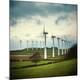 Premium Photographic Print