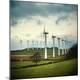 Premium Photographic Print