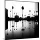 Premium Photographic Print