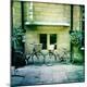 Photographic Print
