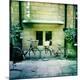 Photographic Print