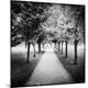 Photographic Print