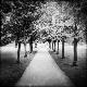 Premium Photographic Print