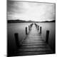Premium Photographic Print