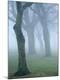 Premium Photographic Print