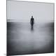 Premium Photographic Print