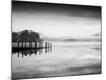 Premium Photographic Print