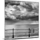 Premium Photographic Print