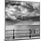Premium Photographic Print