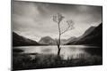 Premium Photographic Print