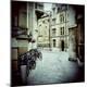 Photographic Print