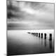 Premium Photographic Print