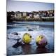 Premium Photographic Print