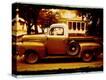 Stretched Canvas Print