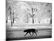 Premium Photographic Print