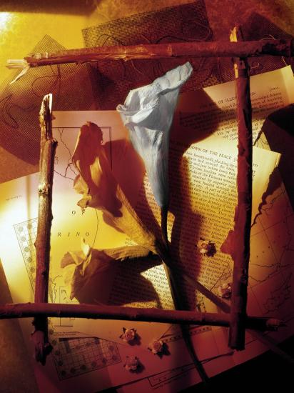 Photographic Print, , large