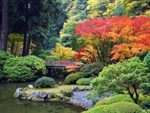 Fall Colors at Portland Japanese Gardens, Portland Oregon by Craig Tuttle