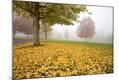 Photographic Print