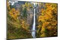 Premium Photographic Print