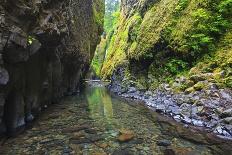 Oneonta Creek in Oneonta Gorge, Columbia River National Scenic Area, Oregon-Craig Tuttle-Photographic Print