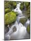 Premium Photographic Print