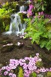 Spring Flowers Add Beauty to Waterfall at Crystal Springs Garden, Portland Oregon. Pacific Northwes-Craig Tuttle-Photographic Print