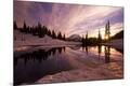 Photographic Print