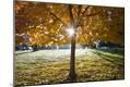 Photographic Print