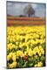 Premium Photographic Print