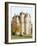 Craigievar Castle, Aberdeenshire, Highland Region, Scotland, United Kingdom-R H Productions-Framed Photographic Print