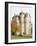 Craigievar Castle, Aberdeenshire, Highland Region, Scotland, United Kingdom-R H Productions-Framed Photographic Print