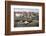 Crail, Fife Coast, Scotland, United Kingdom-Nick Servian-Framed Photographic Print