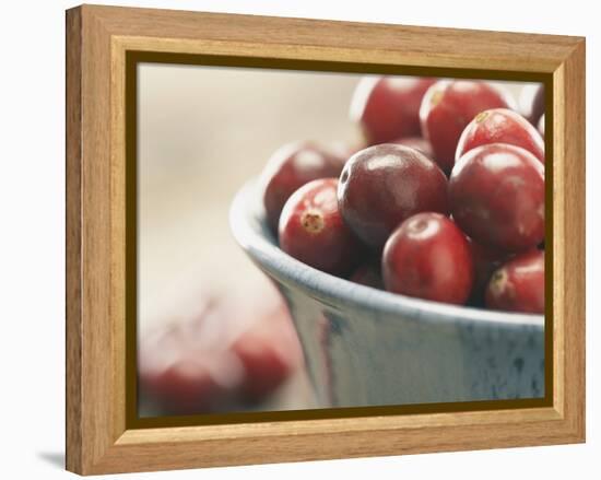 Cranberries in a bowl-Fancy-Framed Premier Image Canvas