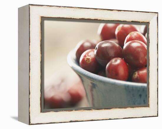 Cranberries in a bowl-Fancy-Framed Premier Image Canvas