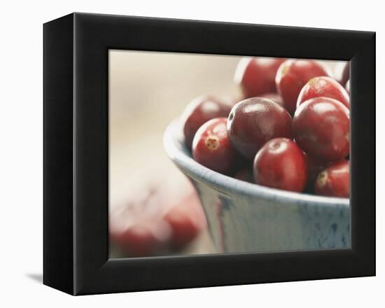 Cranberries in a bowl-Fancy-Framed Premier Image Canvas