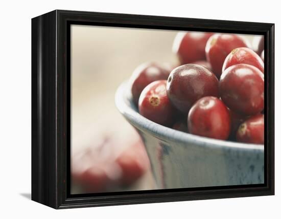 Cranberries in a bowl-Fancy-Framed Premier Image Canvas