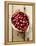 Cranberries in Paper Bag (Overhead View)-Marc O^ Finley-Framed Premier Image Canvas