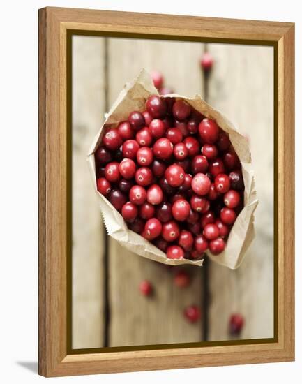 Cranberries in Paper Bag (Overhead View)-Marc O^ Finley-Framed Premier Image Canvas