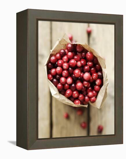 Cranberries in Paper Bag (Overhead View)-Marc O^ Finley-Framed Premier Image Canvas